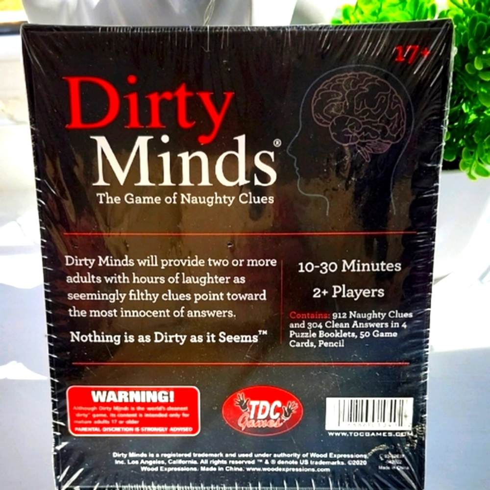 Dirty Minds Game - Picture 2 of 4